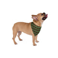 Nick's Panther Pet Bandana